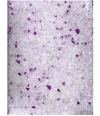 Наполнитель ИНДИГО силик для кошачьего туалета Purple (Фиолетовый)